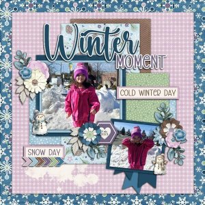 Winter Days