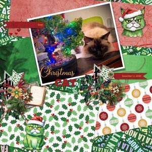 Howl the Christmas Cat