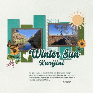 Winter Sun