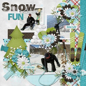 Snow Fun