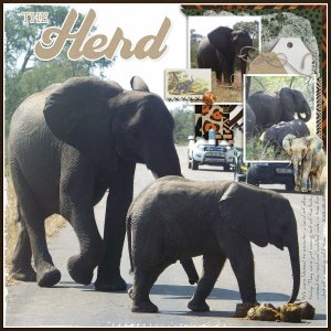 2023-05-07_TheHerd