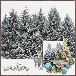 Winter