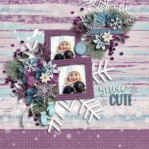 Snow Cute