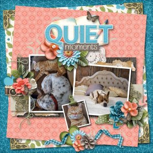 Quiet Moments