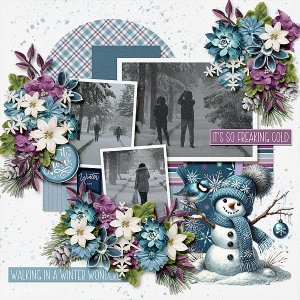 Winter Wonderland