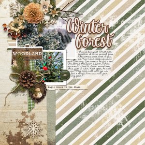 Winter-Forest.jpg