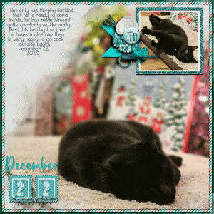 December-22.gif