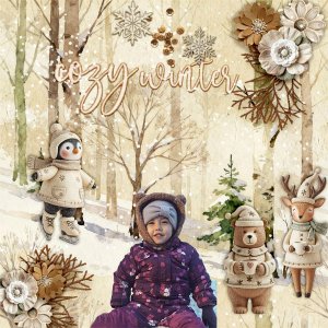 Cozy-winter.jpg