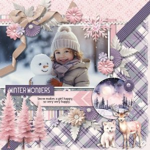 DLPatt_WinterWonders_web.jpg