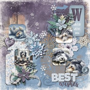 DLPatt_BestWinterWishes2026_web.jpg