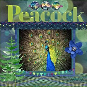 5th lo-January 2026 Color Challenge-Peacock.jpg
