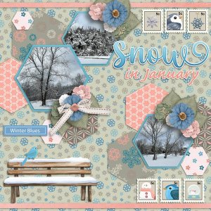 Winter-Blues-web.jpg