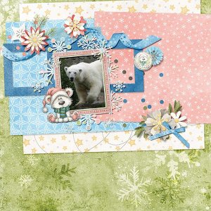 Polar bear