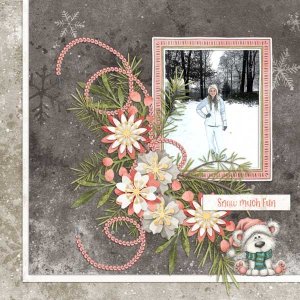 Snow Fun