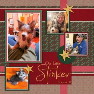 Stinker