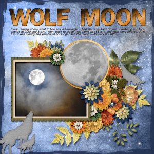 wolf moon small.jpg