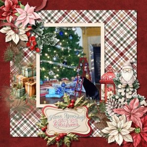 Rustic Holiday