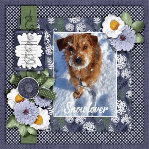 Snowlover.jpg