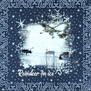 Reindeer-on-ice.jpg
