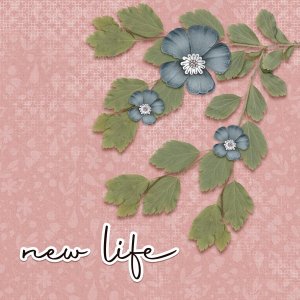 New Life