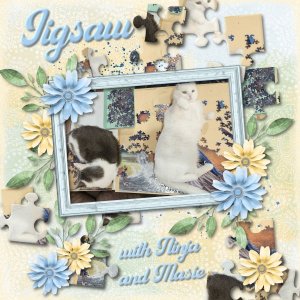 jigsaw