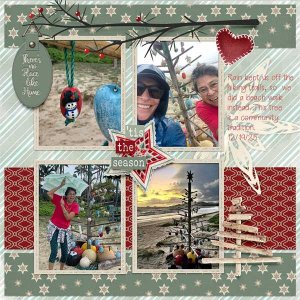 KailuaBeachtree-web.jpg