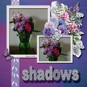 shadow small.jpg