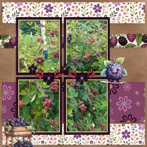 Blackberry Dream-The Brit Chick for Temp Challenge 2.jpg