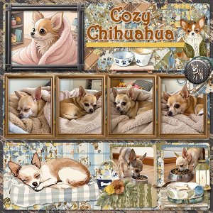 CozyChihuahua_ollitko_600.jpg