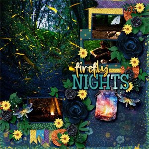 Firefly Nights