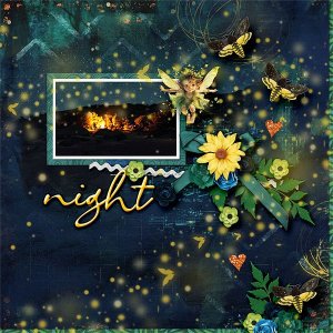 Night