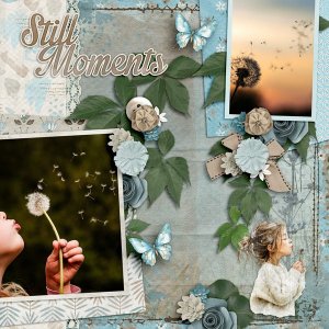 Still-Moments-web600.jpg