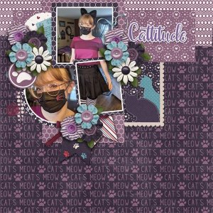 Cattitude