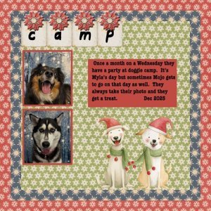 2025--12-15-MM-camp-party.jpg