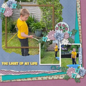 You Light Up My Life