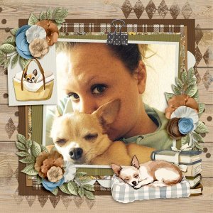 Apilisa_PicturePerfect147_Cozy-Chihuaha