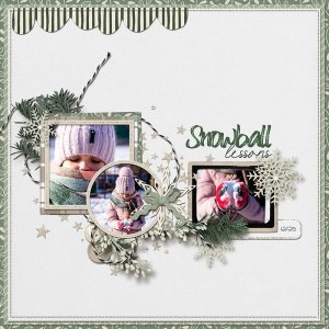Snowball-Lessons.jpg