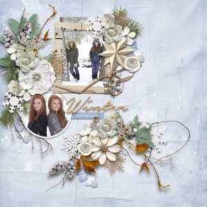 Winter-Memories.jpg