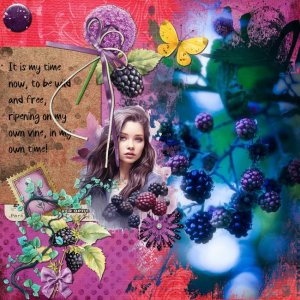 CT-TBC-BlackberryDream-02-PC-gina-hamm.jpg