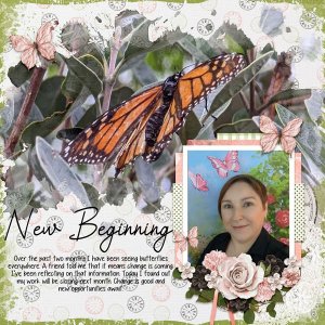 New Beginning
