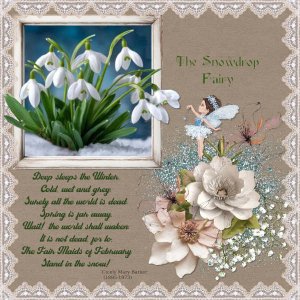 The Snowdrop Fairy.jpg