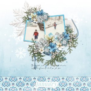 Happy Monthly January-CarolW.jpg
