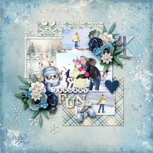 January Fun