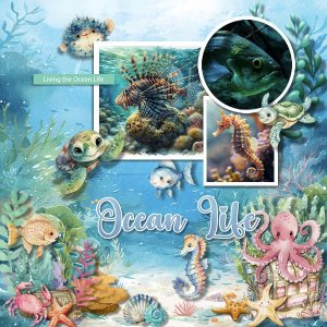 DLPatt_OceanLife_web.jpg