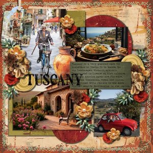 DLPatt_Tuscany_web.jpg