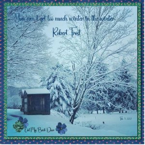Winter's Frost
