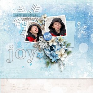 Catching-Snowflakes.jpg