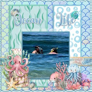 Ocean-Life-Layout-web.jpg