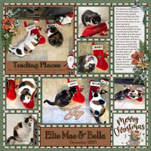 EllieBelleChristmas25.jpg