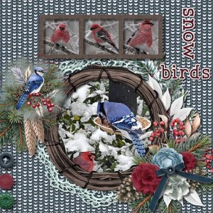 Snow Birds